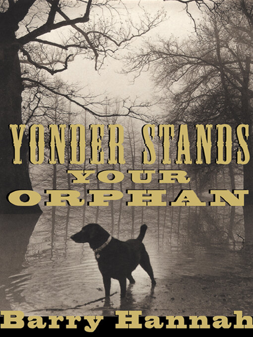 Title details for Yonder Stands Your Orphan by Barry Hannah - Available